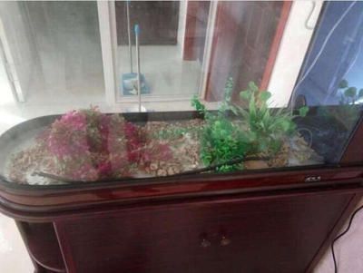 高端龍魚缸品牌排行榜：高端龍魚缸品牌排行