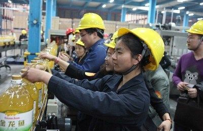 成都金龍魚：成都金龍魚商業模式與市場策略