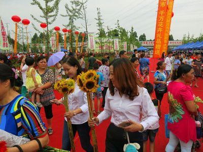 成都金龍魚：成都金龍魚商業模式與市場策略