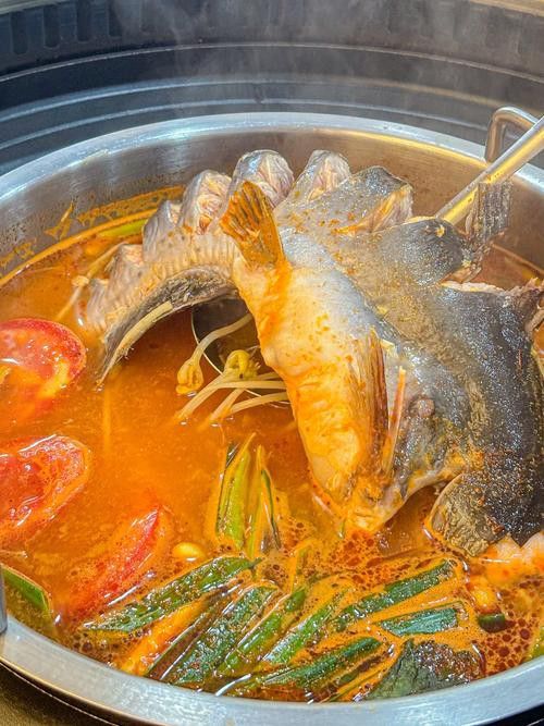 金沙江龍魚吃著臭嗎