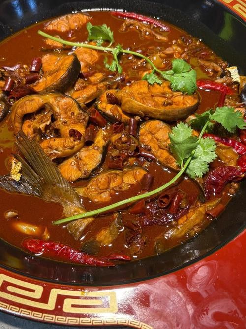 金沙江龍魚吃著臭嗎