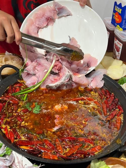 金沙江龍魚吃著臭嗎