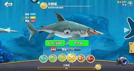 龍魚鰭尾有白邊是什么：龍魚鰭尾出現白邊可能由多種因素造成