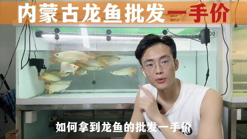 龍魚去哪里批發最好呢