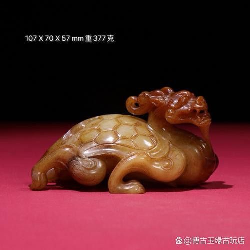 如何挑選適合自己的龍龜圖片