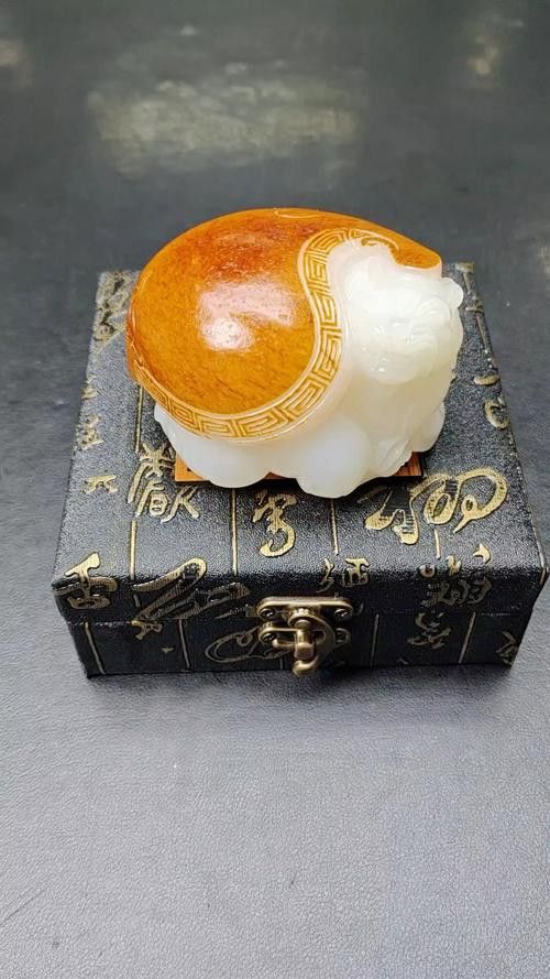 如何挑選適合自己的龍龜圖片