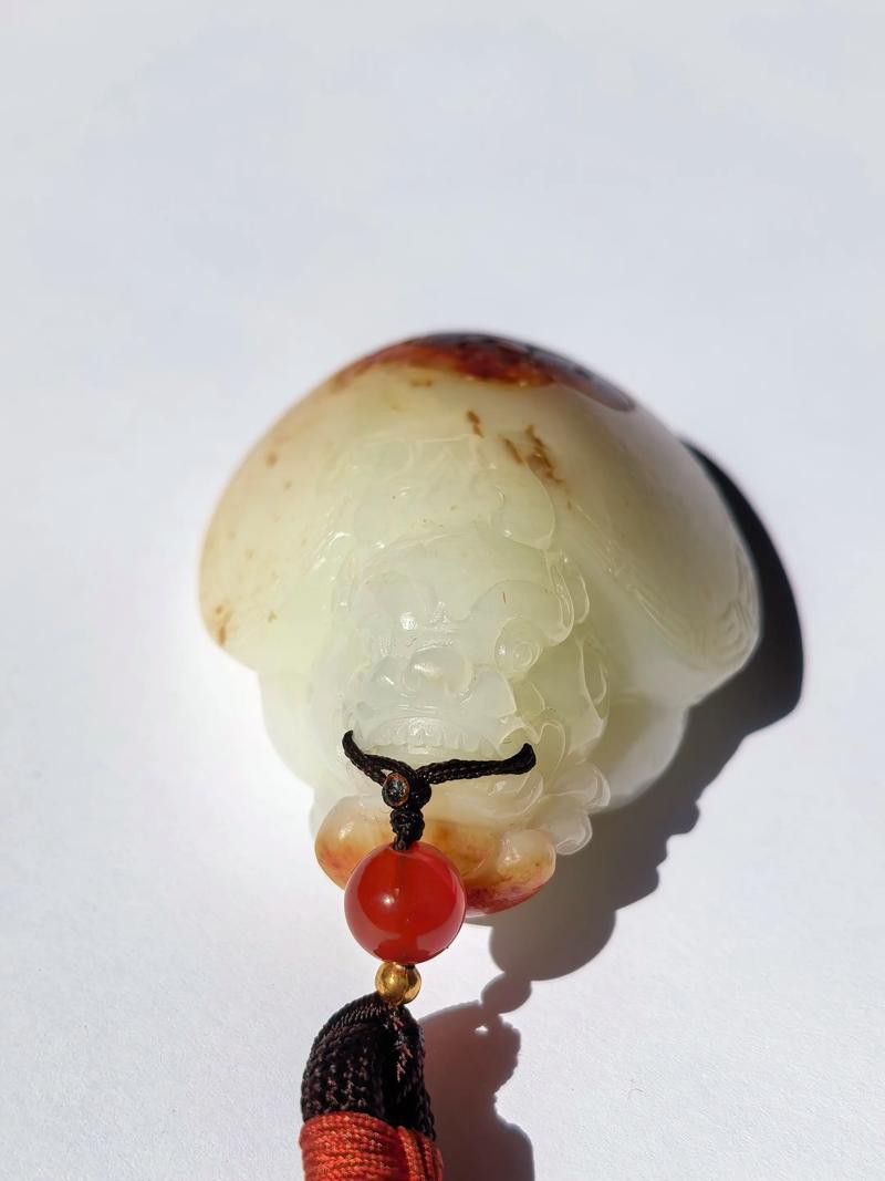 如何挑選適合自己的龍龜圖片