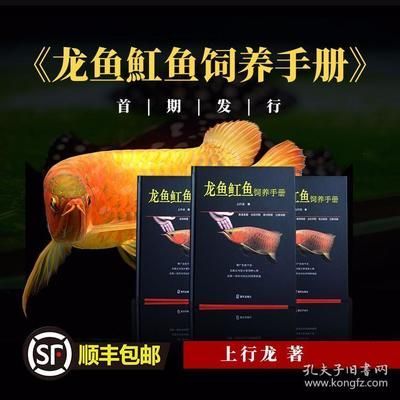 龍魚魟魚飼養手冊怎么樣：《龍魚魟魚飼養手冊》龍魚魟魚飼養新概念介紹 龍魚魟魚飼養手冊怎么樣：《龍魚魟魚飼養手冊》龍魚魟魚飼養新概念介紹 龍魚百科 第4張