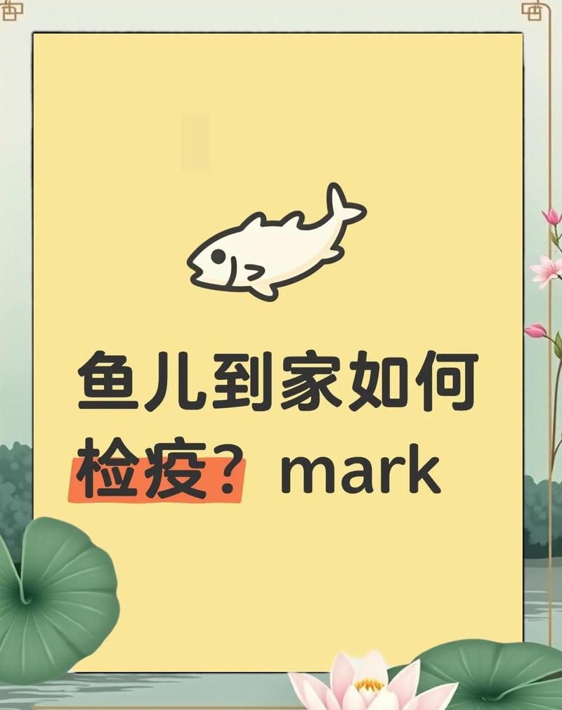 檢疫期間金龍魚需要停食嗎？ 檢疫期間金龍魚需要停食嗎？ 龍魚百科 第1張
