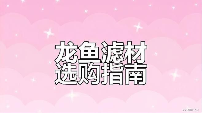 如何調整金龍魚的水質？