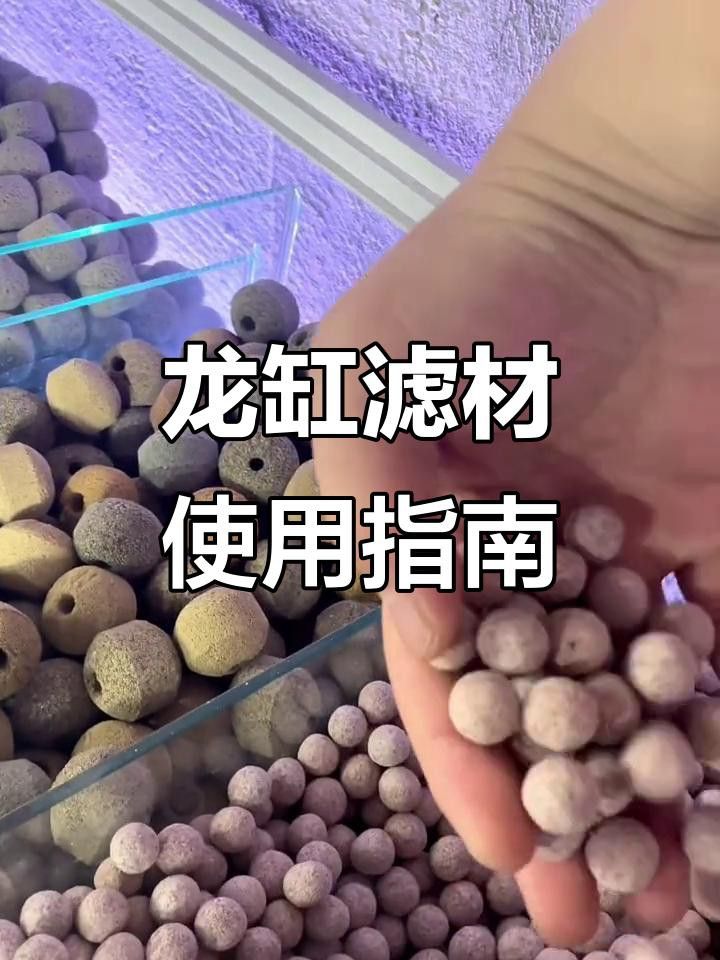 如何調整金龍魚的水質？