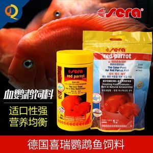 龍魚能不能吃蝸牛殼：龍魚能不能吃蝸牛？深入探討龍魚的飲食選擇