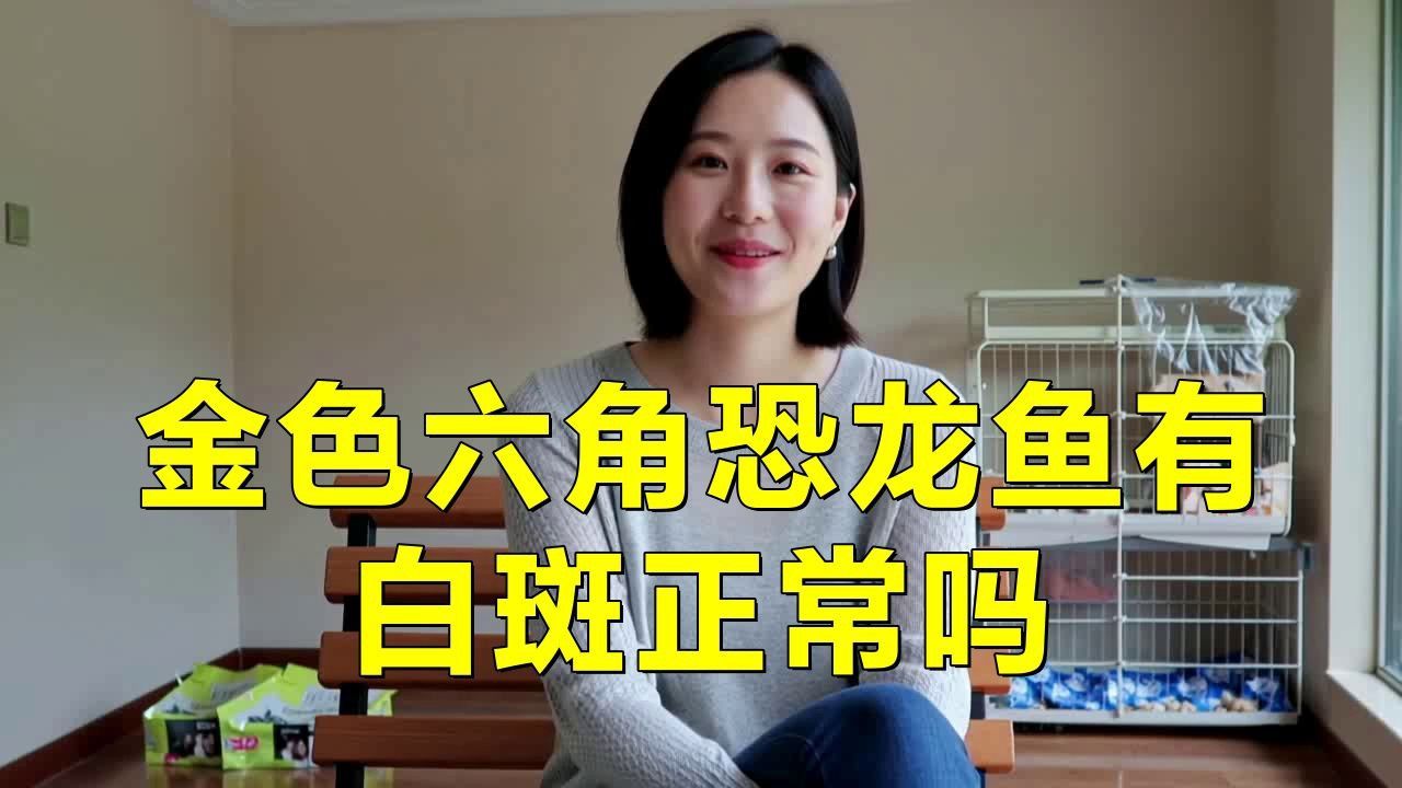 六角恐龍身上有白斑怎么治