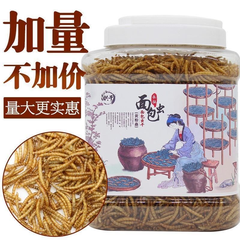 龍魚 烏龜糧：適合龍魚和烏龜的飼料品牌 龍魚 烏龜糧：適合龍魚和烏龜的飼料品牌 龍魚百科 第3張