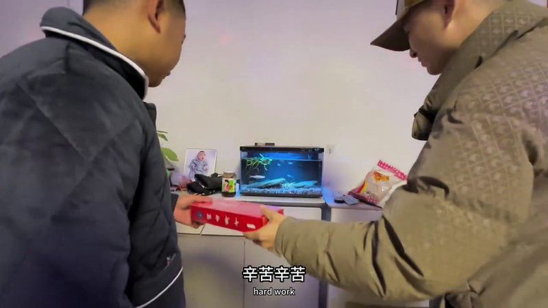 哪種紅眼白子招財龍最稀有？