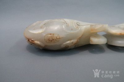 紅龍魚的嘴型特點：關于紅龍魚嘴型的詳細介紹
