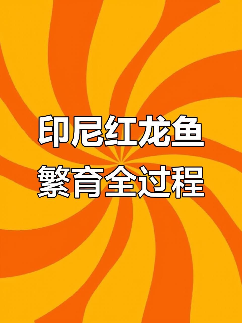 紅龍魚繁殖需要多大的空間？ 紅龍魚繁殖需要多大的空間？ 龍魚百科 第1張