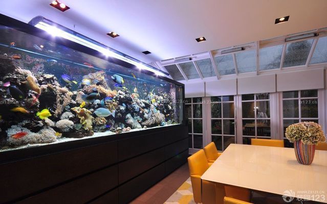 魚缸造景 效果圖，如何選擇魚缸造景材料？