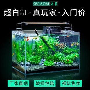 龍魚打包費多少錢：龍魚打包費多少錢龍魚打包費多少錢龍魚打包費的價格