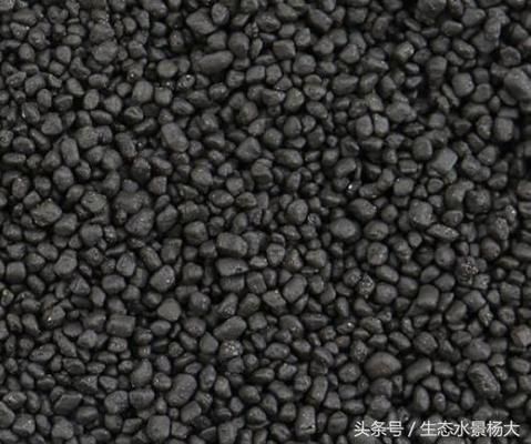 什么魚跟龍魚搭配好看一點：什么魚跟龍魚搭配好看一點？打造和諧水族箱的完美搭配指南