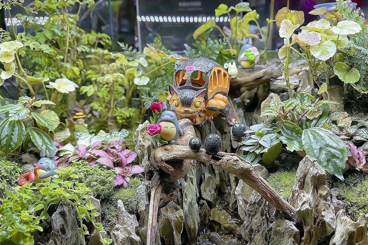 龍魚缸水草施肥后需要換水嗎？