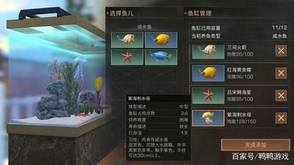紅龍魚喂什么好看又好養（紅龍魚喂什么最好紅龍魚飼養方法全攻略） 紅龍魚喂什么好看又好養（紅龍魚喂什么最好紅龍魚飼養方法全攻略） 龍魚百科 第7張