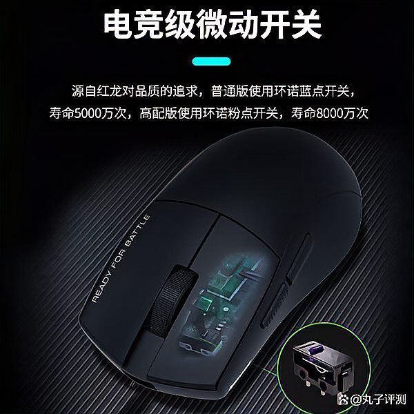 紅龍品牌中哪個品種最受歡迎？