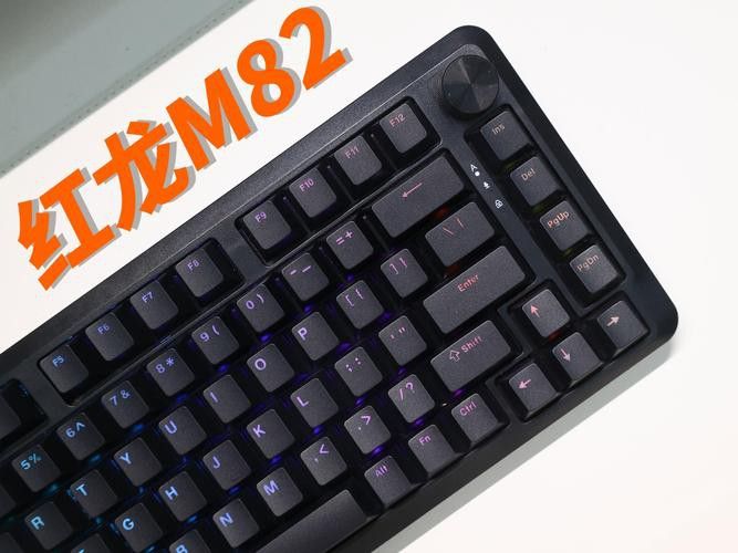 紅龍品牌中哪個品種最受歡迎？