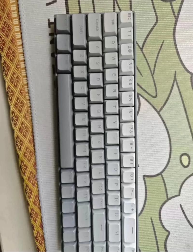 紅龍品牌中哪個品種最受歡迎？