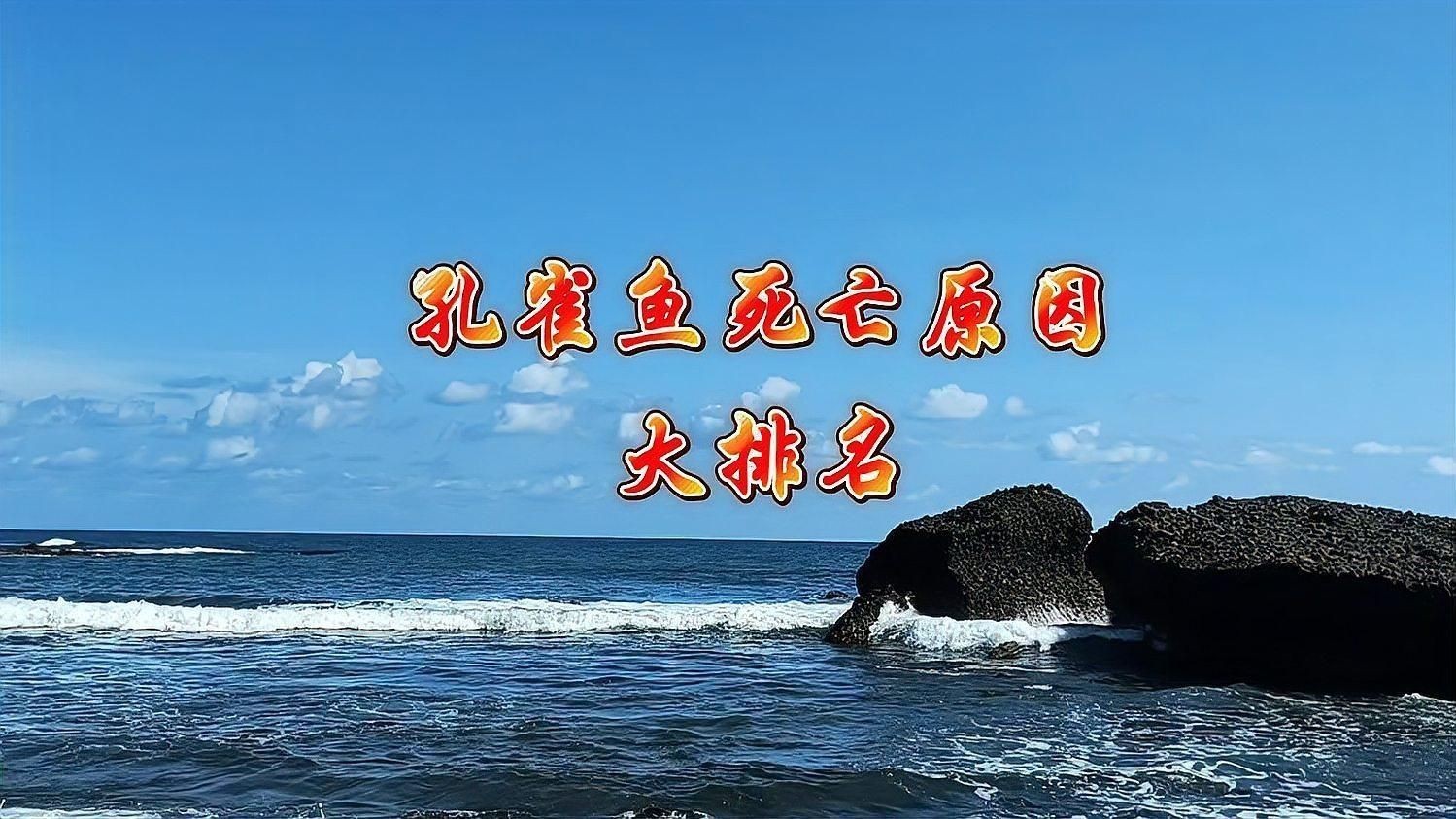 孔雀魚總是死什么原因 孔雀魚總是死什么原因 龍魚百科 第5張