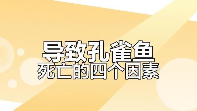 孔雀魚總是死什么原因 孔雀魚總是死什么原因 龍魚百科 第6張