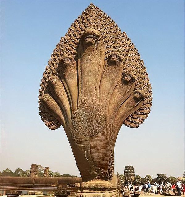 紅龍?jiān)趧P爾特文化中有何特殊地位？ 紅龍?jiān)趧P爾特文化中有何特殊地位？ 龍魚百科 第4張