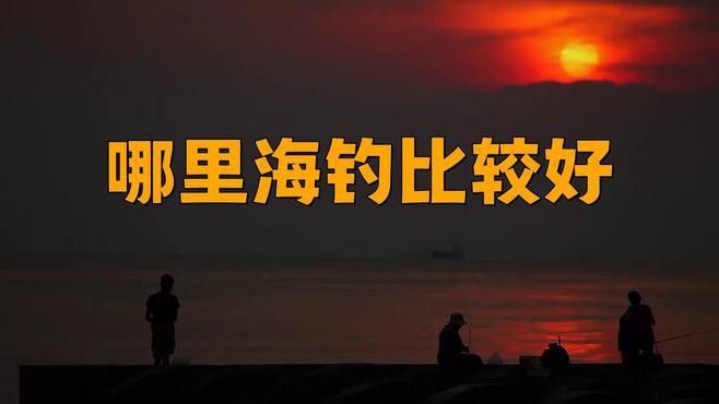 這些漁場中哪個性價比最高？ 這些漁場中哪個性價比最高？ 龍魚百科 第3張