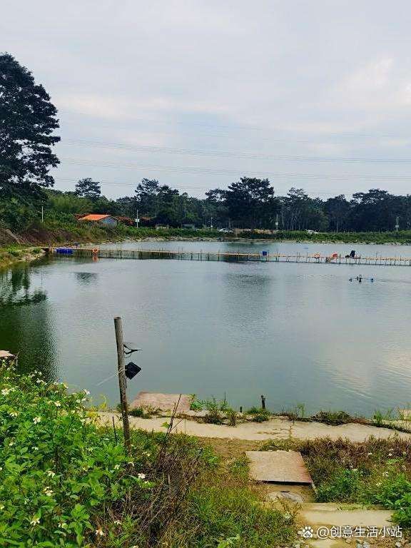 這些漁場中哪個性價比最高？ 這些漁場中哪個性價比最高？ 龍魚百科 第1張