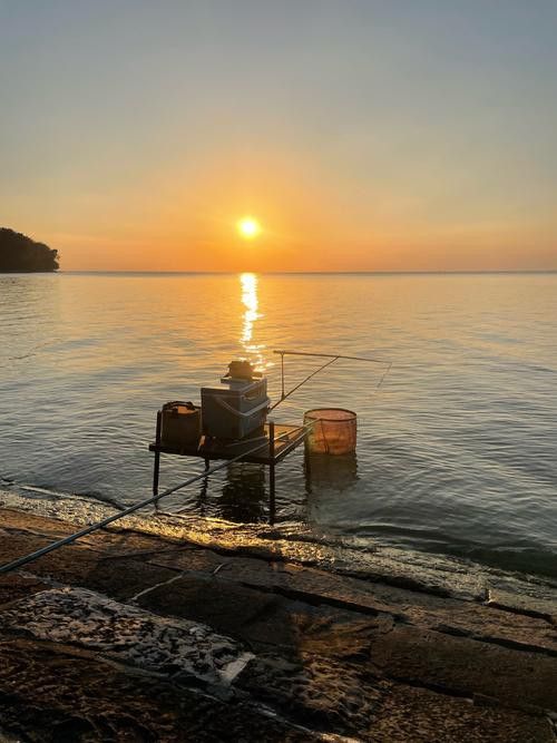 這些漁場中哪個性價比最高？ 這些漁場中哪個性價比最高？ 龍魚百科 第5張