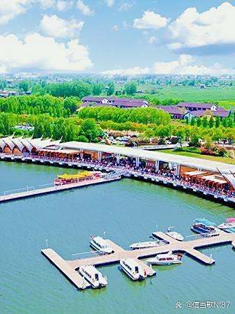 這些漁場中哪個性價比最高？ 這些漁場中哪個性價比最高？ 龍魚百科 第2張