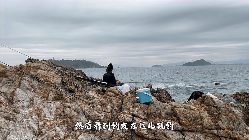 這些漁場中哪個性價比最高？ 這些漁場中哪個性價比最高？ 龍魚百科 第12張