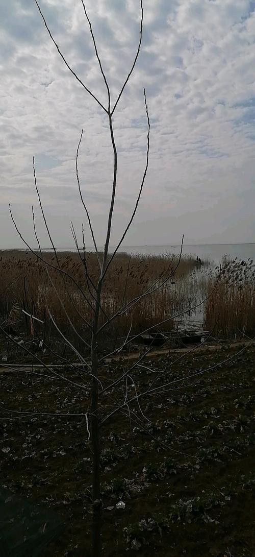 這些漁場中哪個性價比最高？ 這些漁場中哪個性價比最高？ 龍魚百科 第8張