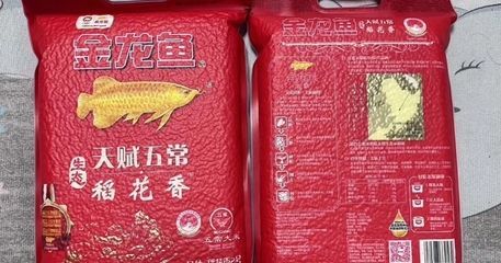金龍魚下架原因（金龍魚下架的原因有哪些？） 金龍魚下架原因（金龍魚下架的原因有哪些？） 龍魚百科 第4張