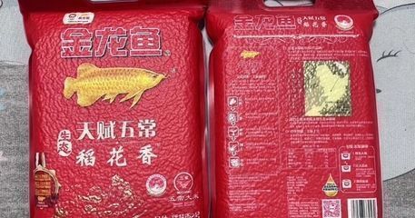金龍魚下架原因（金龍魚下架的原因有哪些？） 金龍魚下架原因（金龍魚下架的原因有哪些？） 龍魚百科 第2張