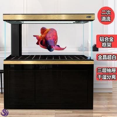 彩蝶龍魚缸有便宜點的嗎多少錢一個：關于彩蝶龍魚缸的問題 彩蝶龍魚缸有便宜點的嗎多少錢一個：關于彩蝶龍魚缸的問題 龍魚百科 第2張