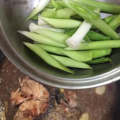 雪龍魚的家常做法大全竅門圖解圖片 雪龍魚的家常做法大全竅門圖解圖片 龍魚百科 第8張