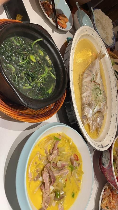 雪龍魚的家常做法大全竅門圖解圖片 雪龍魚的家常做法大全竅門圖解圖片 龍魚百科 第31張