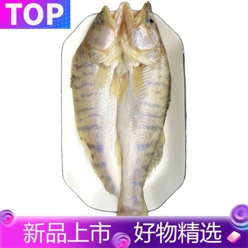 雪龍魚的家常做法大全竅門圖解圖片 雪龍魚的家常做法大全竅門圖解圖片 龍魚百科 第36張