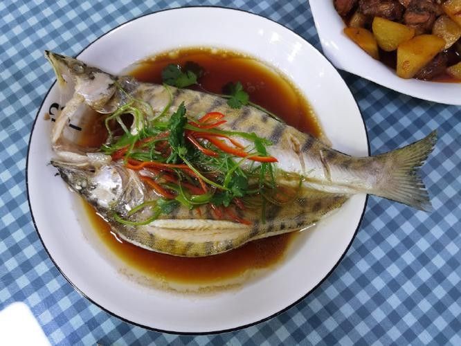 雪龍魚的家常做法大全竅門圖解圖片 雪龍魚的家常做法大全竅門圖解圖片 龍魚百科 第30張