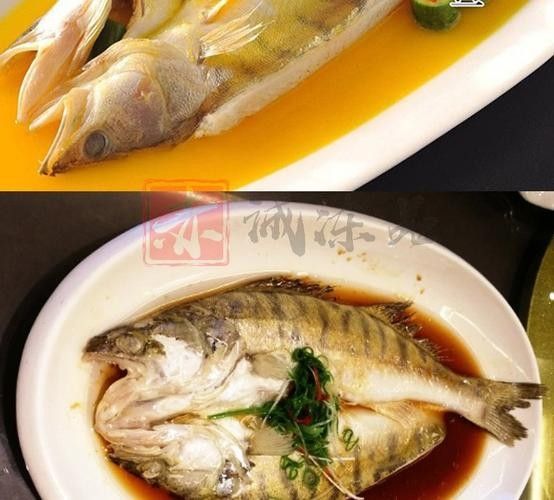 雪龍魚的家常做法大全竅門圖解圖片 雪龍魚的家常做法大全竅門圖解圖片 龍魚百科 第39張