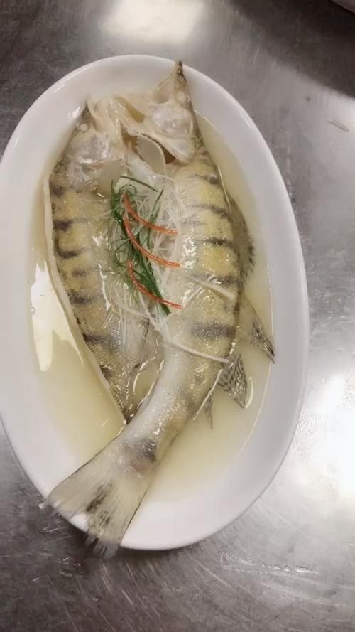 雪龍魚的家常做法大全竅門圖解圖片 雪龍魚的家常做法大全竅門圖解圖片 龍魚百科 第26張