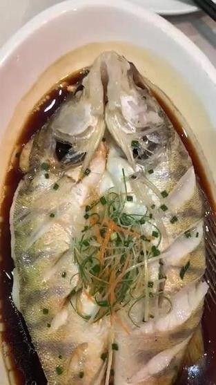 雪龍魚的家常做法大全竅門圖解圖片 雪龍魚的家常做法大全竅門圖解圖片 龍魚百科 第27張