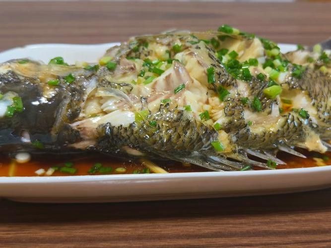 雪龍魚的家常做法大全竅門圖解圖片 雪龍魚的家常做法大全竅門圖解圖片 龍魚百科 第40張