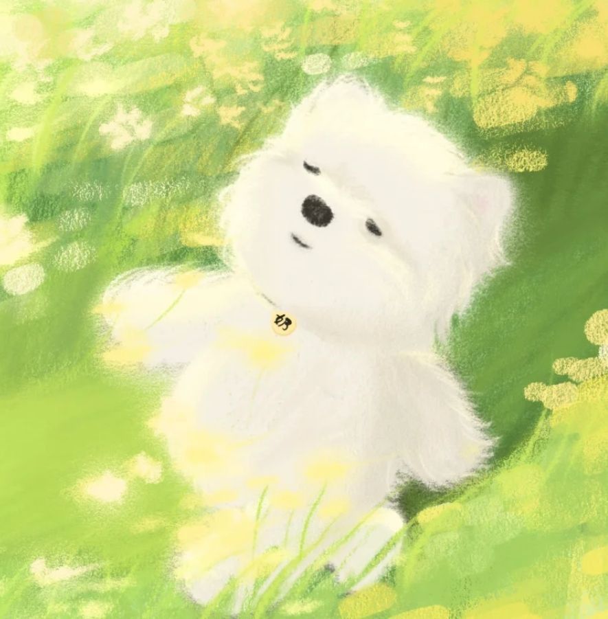 錦鯉什么顏色最好 龍魚百科 第13張 錦鯉什么顏色最好 錦鯉什么顏色最好 龍魚百科 第13張